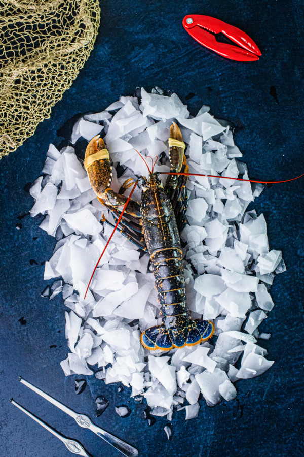 Poissonnerie à Saint-Malo et Dol-de-Bretagne Le Père Billard