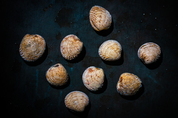 Poissonnerie à Saint-Malo et Dol-de-Bretagne Le Père Billard